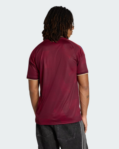 2026 FIFA World Cup Venezuela Home Jersey